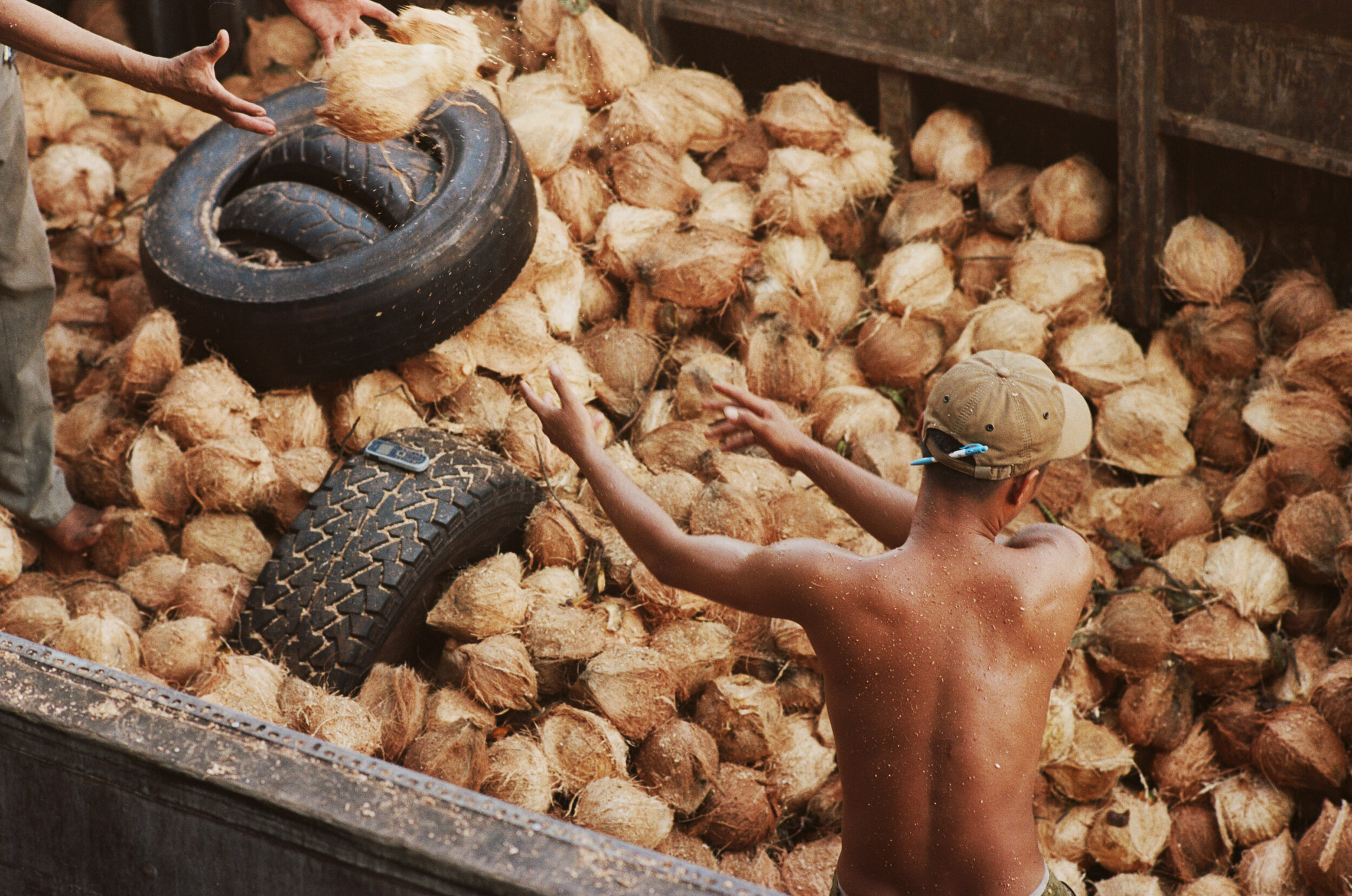 Coconut sourcing Vietnam + Real CoCo 