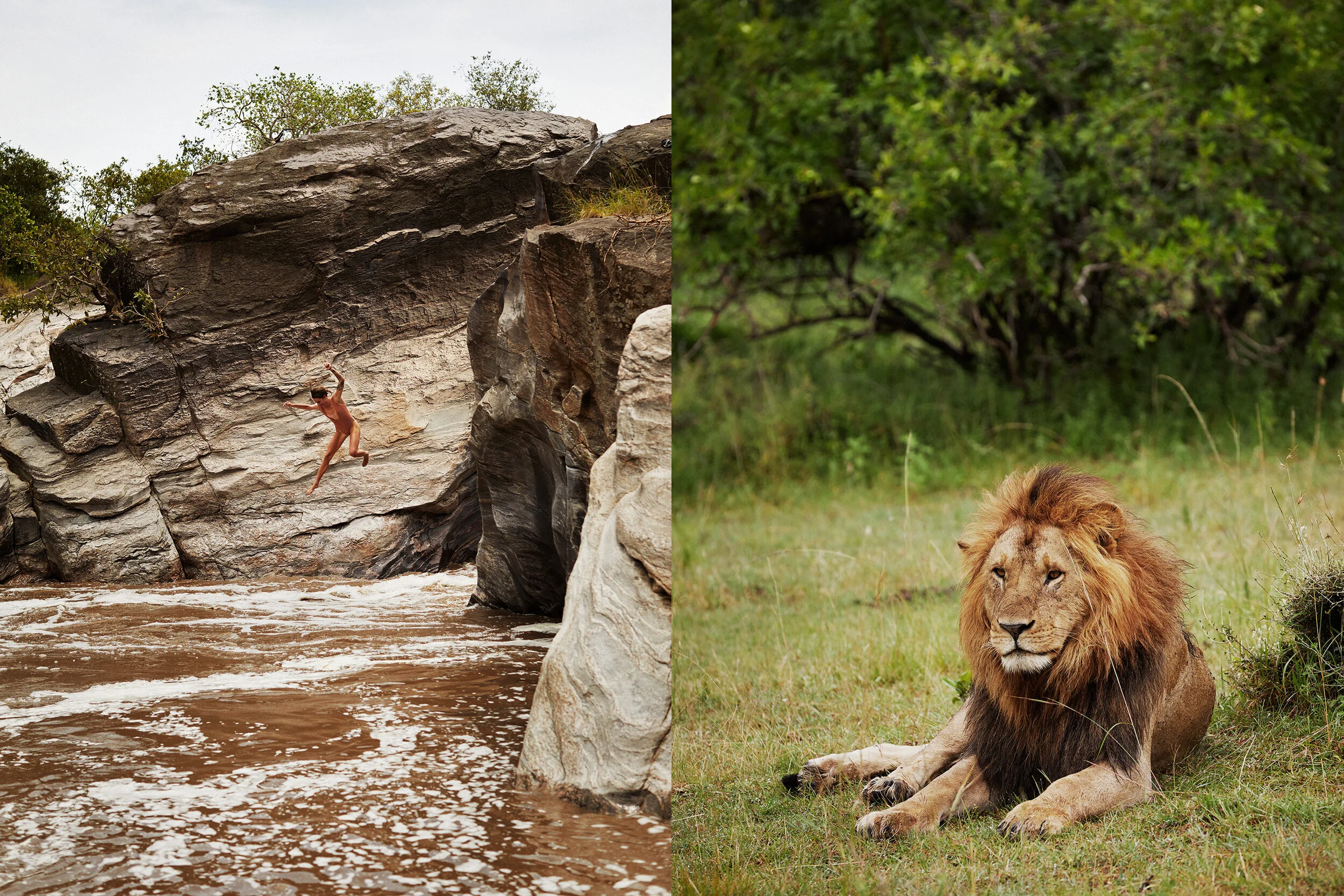 kenya-lion-jump-river-patrick-fraser.jpg
