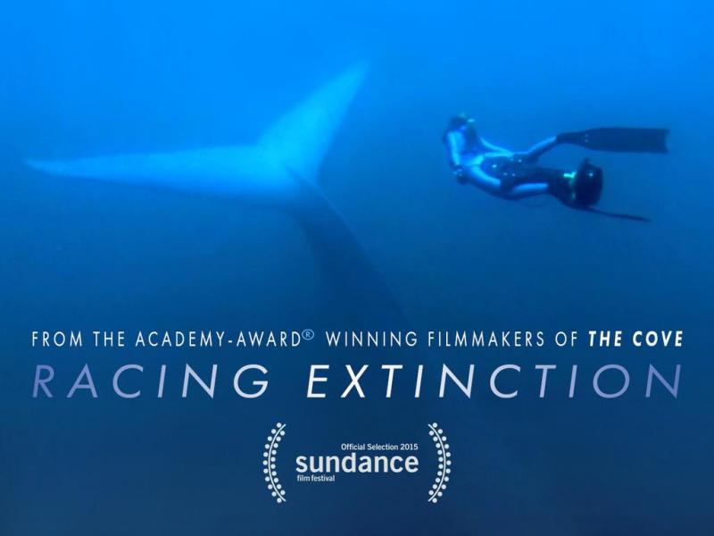RacingExtinction.jpeg