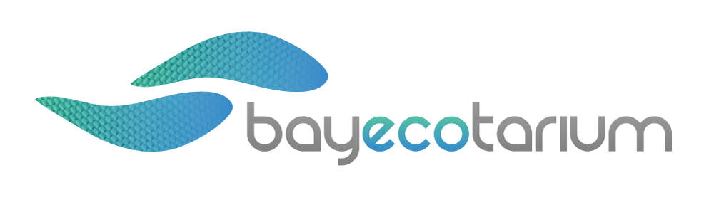 bay-ecotarium-our-future-logo-001.png