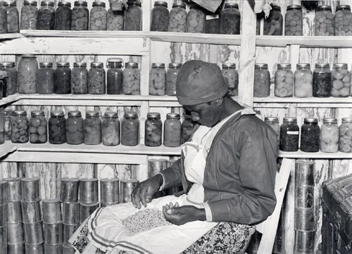 Marion_Post_Wolcott_Jorena_Pettway_Gees_Bend_Alabama.jpg