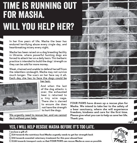FP_Masha_Ad.JPG