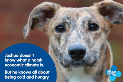 Blue Cross -- recession appeal