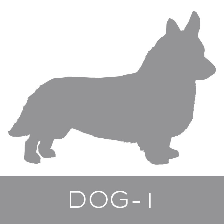 dog-1.jpg