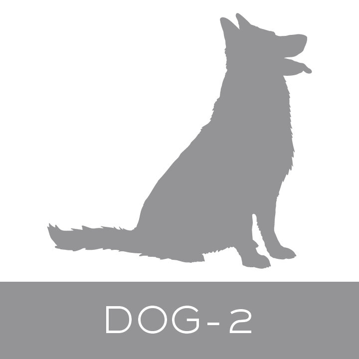 dog-2.jpg