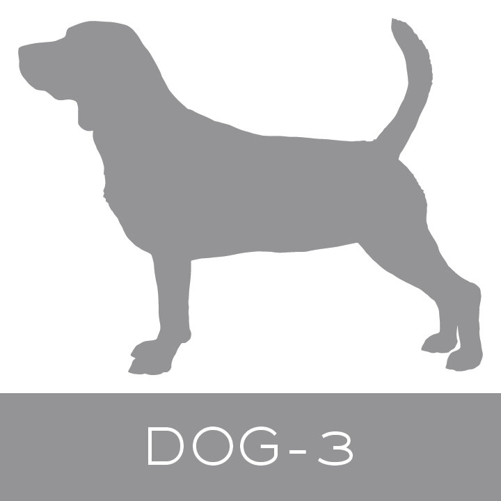 dog-3.jpg