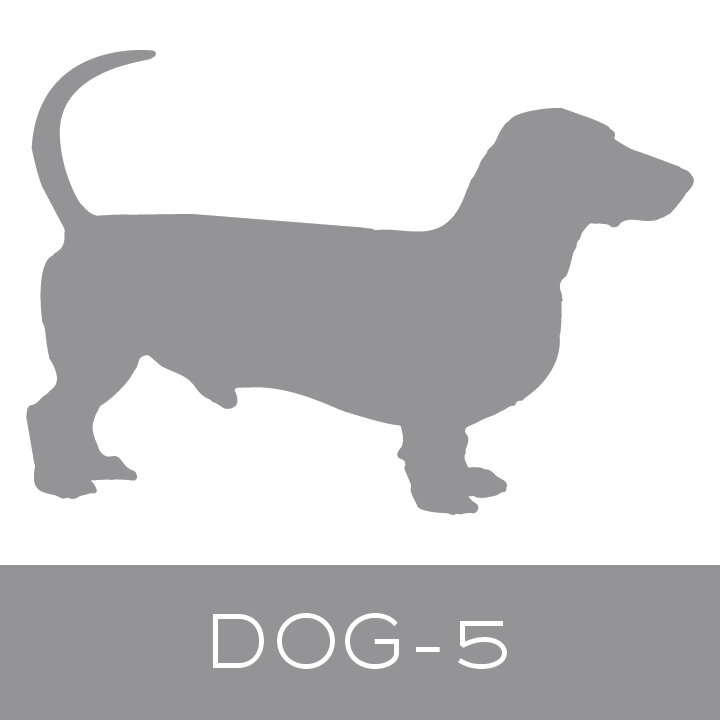 dog-5.jpg