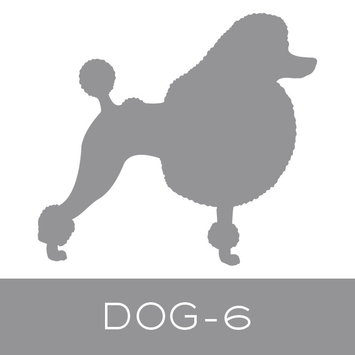dog-6.jpg