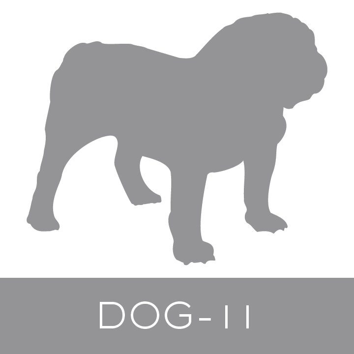 dog-11.jpg