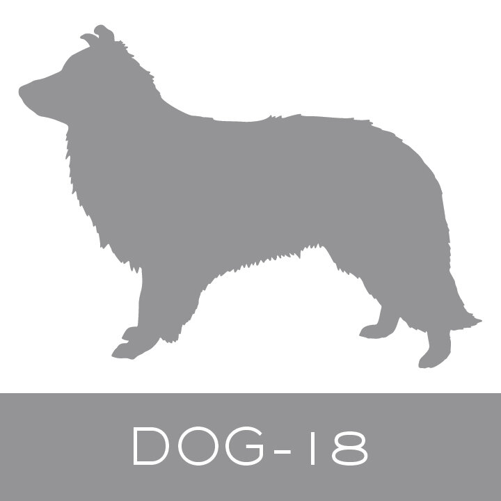 dog-18.jpg
