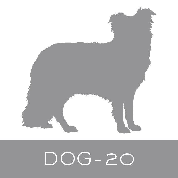 dog-20.jpg