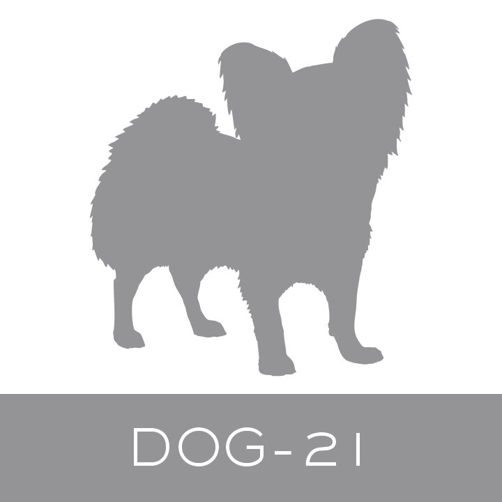 dog-21.jpg