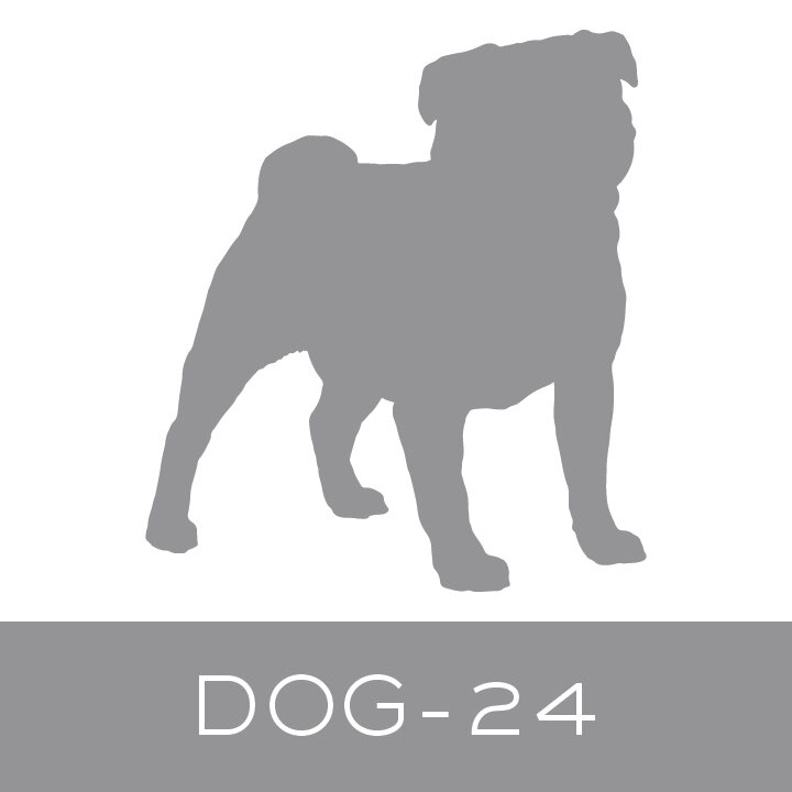 dog-24.jpg