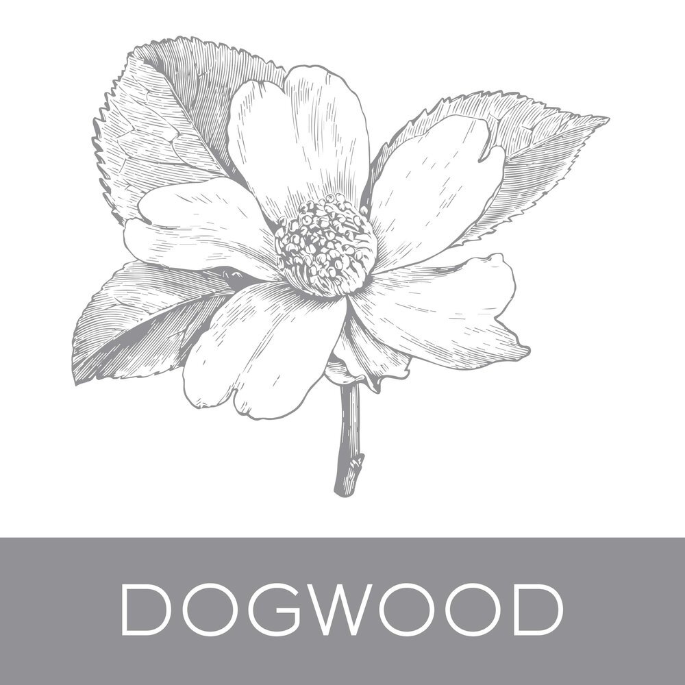 dogwood.jpg