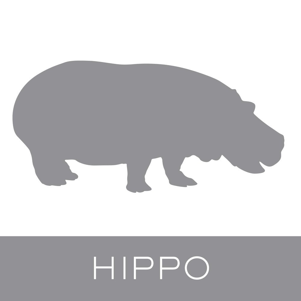 hippo.jpg
