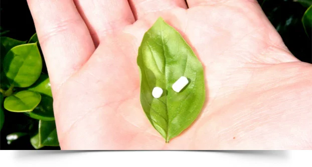 top-banner-pellets-1.jpg