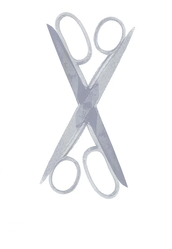 Scissor, 2015