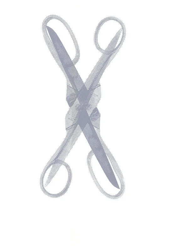 Scissor, 2015