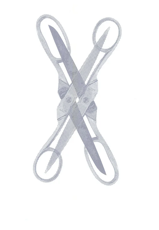 Scissor, 2015