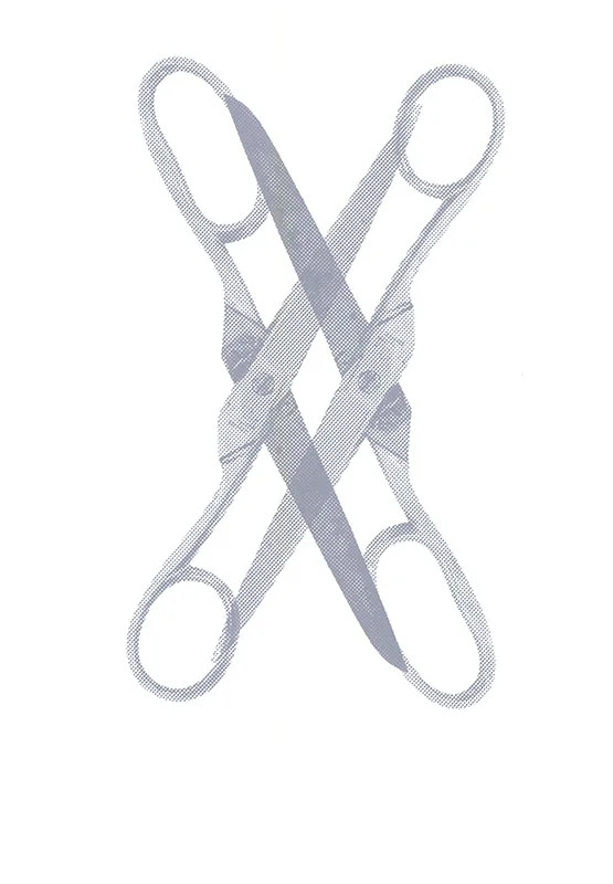 Scissor, 2015
