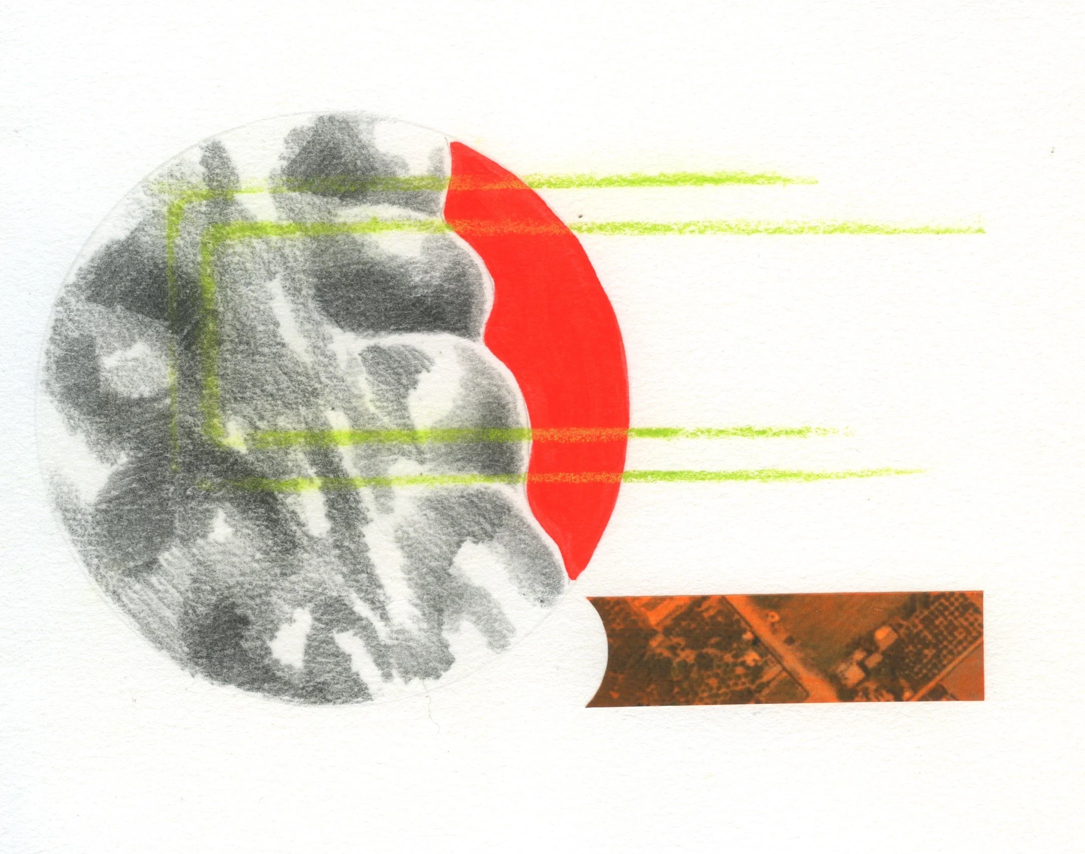 Anxiety Study