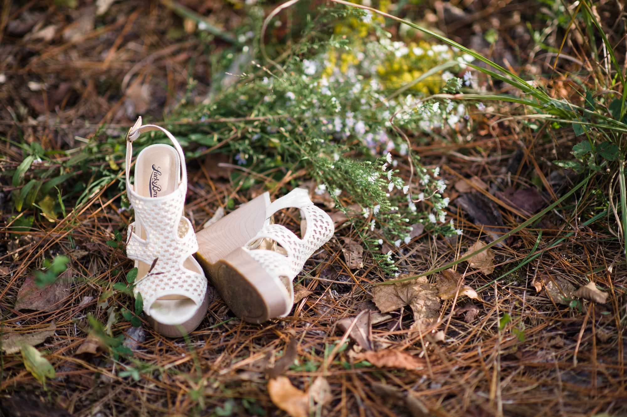 Abbie Blog-6603.jpg