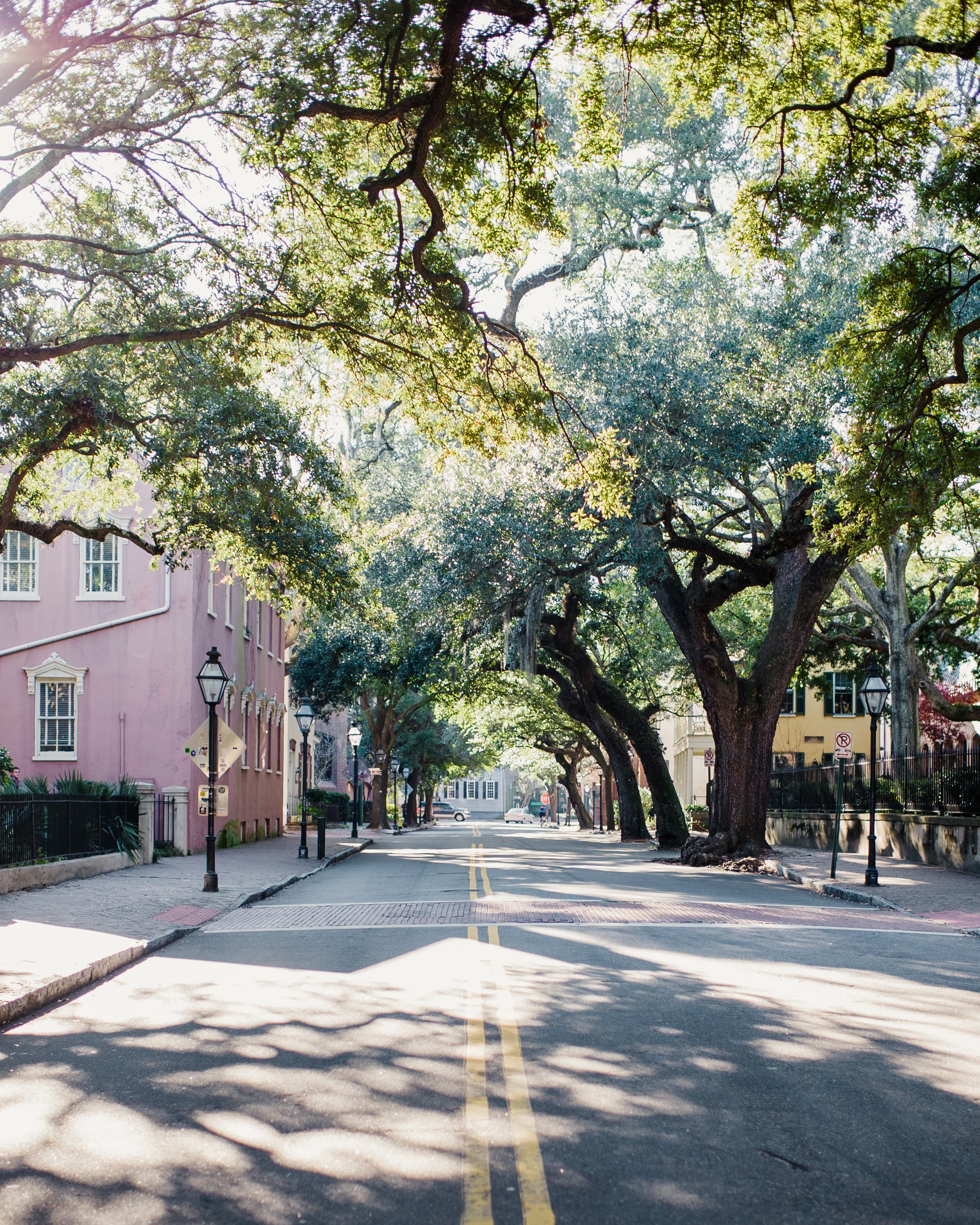 charleston-7877.jpg