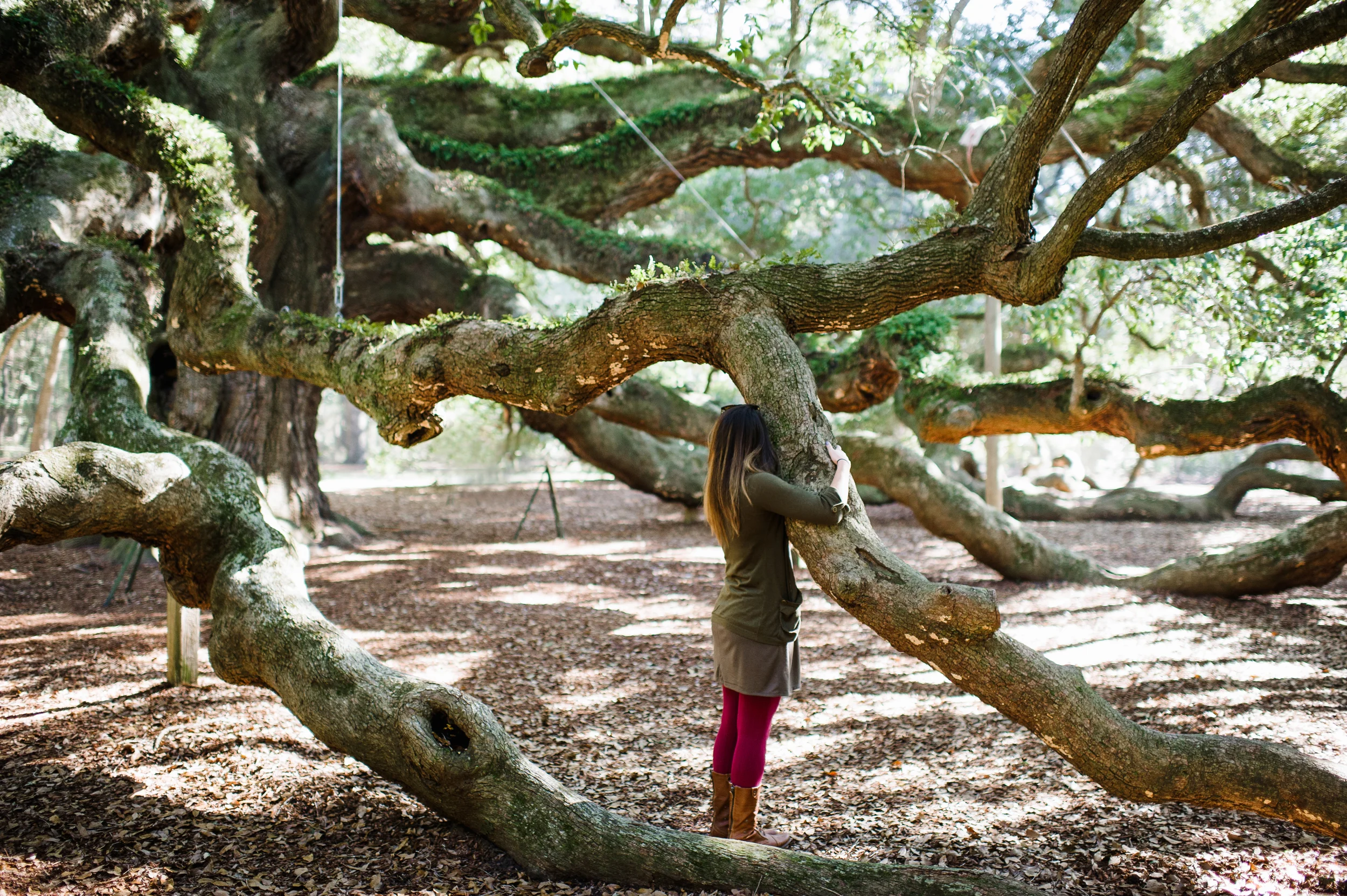 charleston-DSC_8139-Edit.jpg