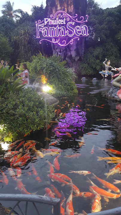 20150909_182319.jpeg