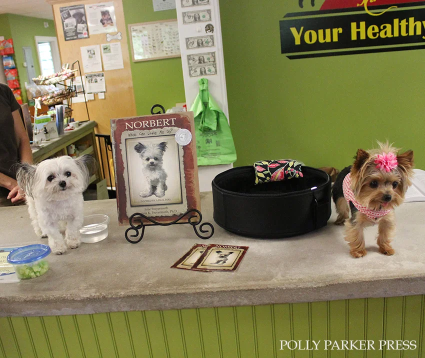 POLLY PARKER lucy and norbert.jpg