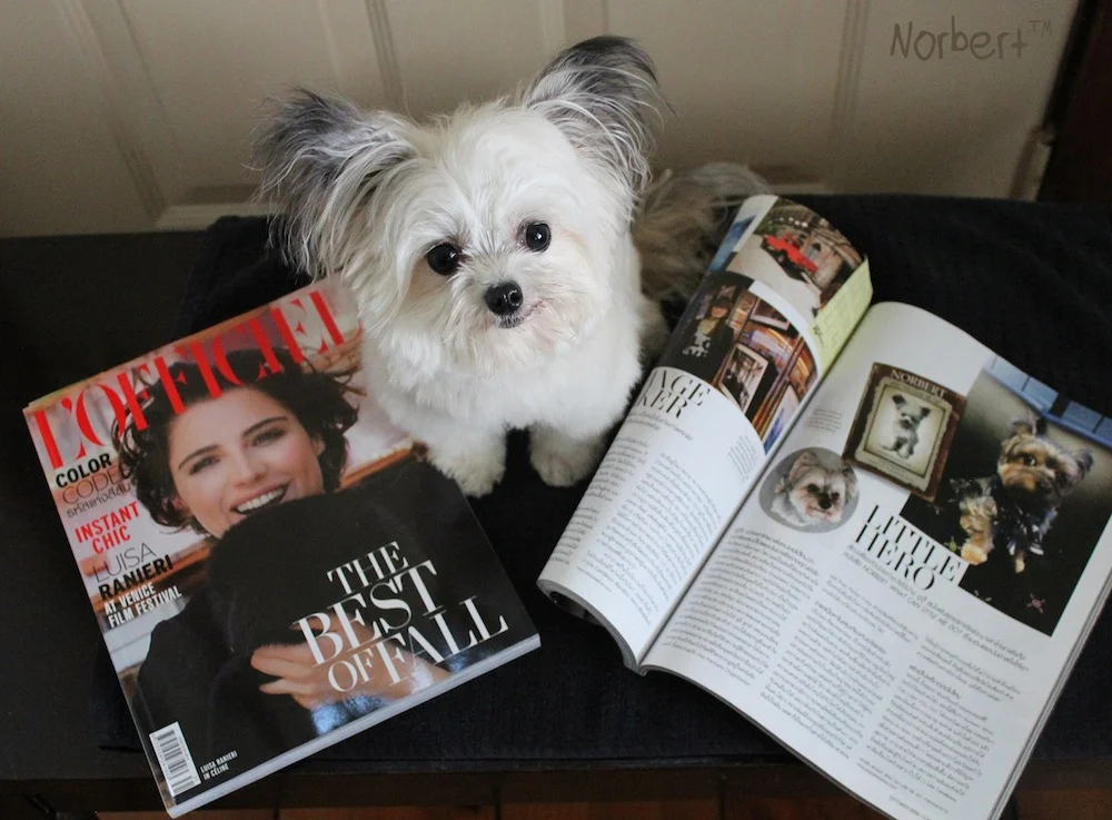 Norbert L'Officiel FB.jpg