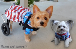 Norbert and Mango.jpg