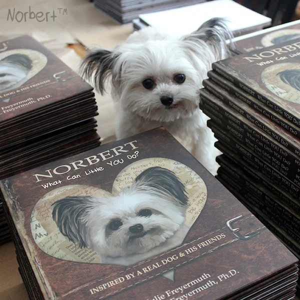 Norbert and Books IG.jpg