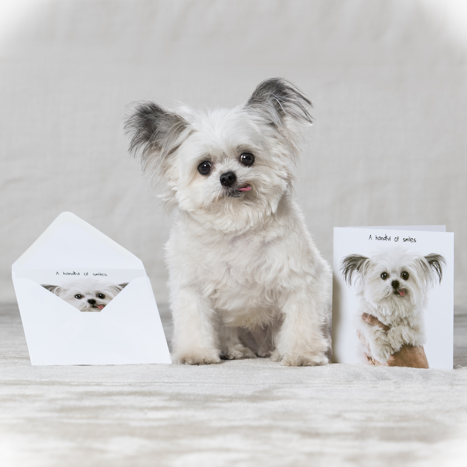Norbert & Card