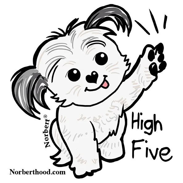 NORBERT STICKER ART.jpg