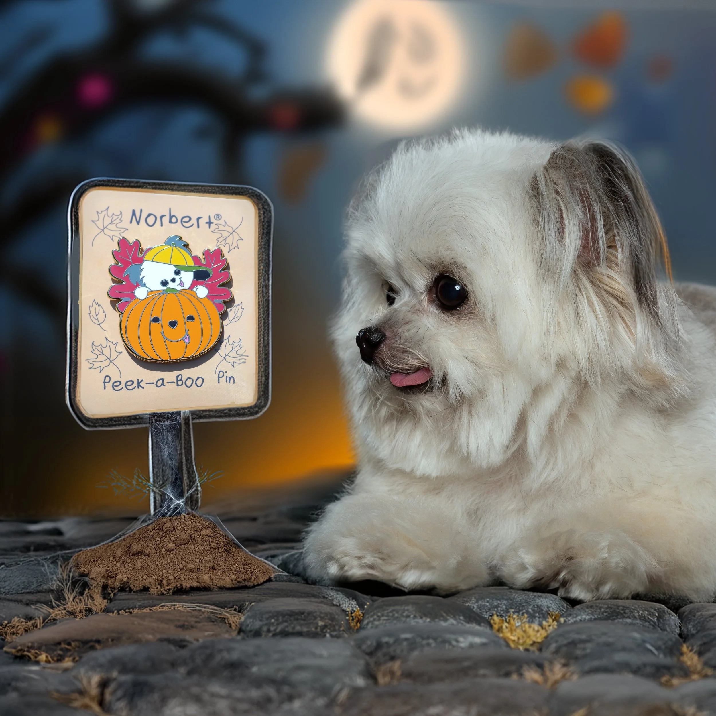 Norbert with Peek A Boo Pin Square.jpg