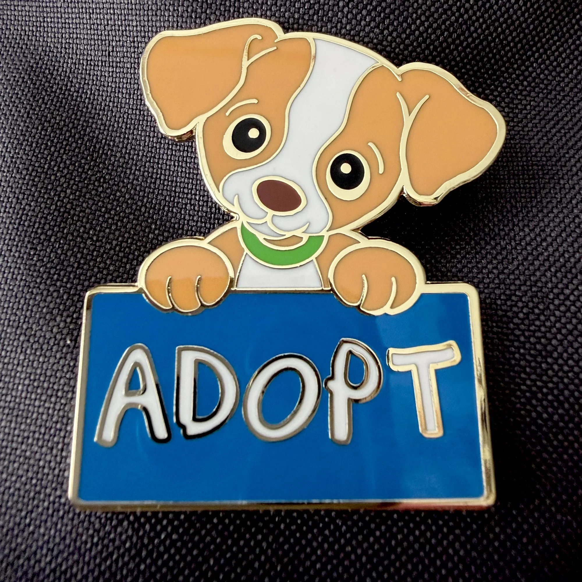 Lenny+Adopt+Pin+Closeup.jpg.webp