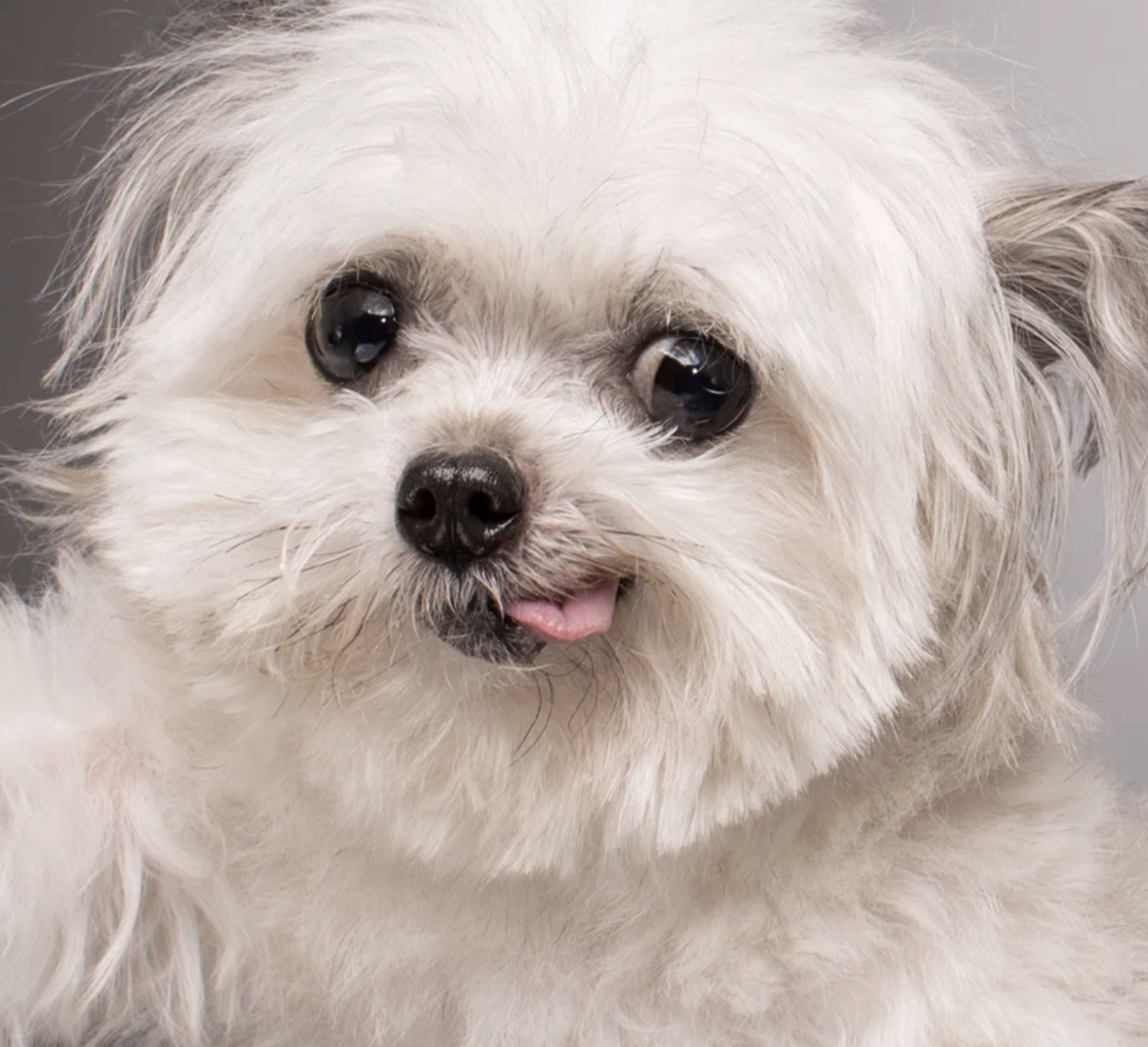 Screenshot 2026-02-12 at 1.34.39 PM.png