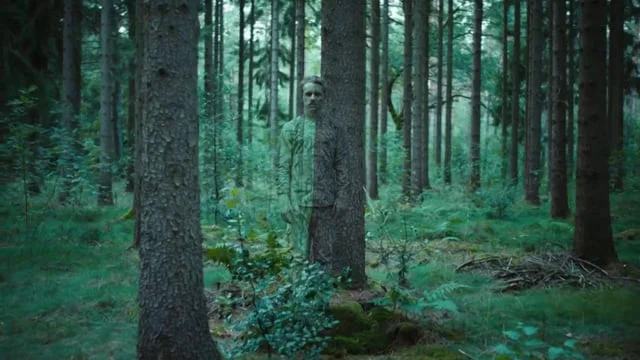 DPD Werbespot Du bestellst Du bestimmst