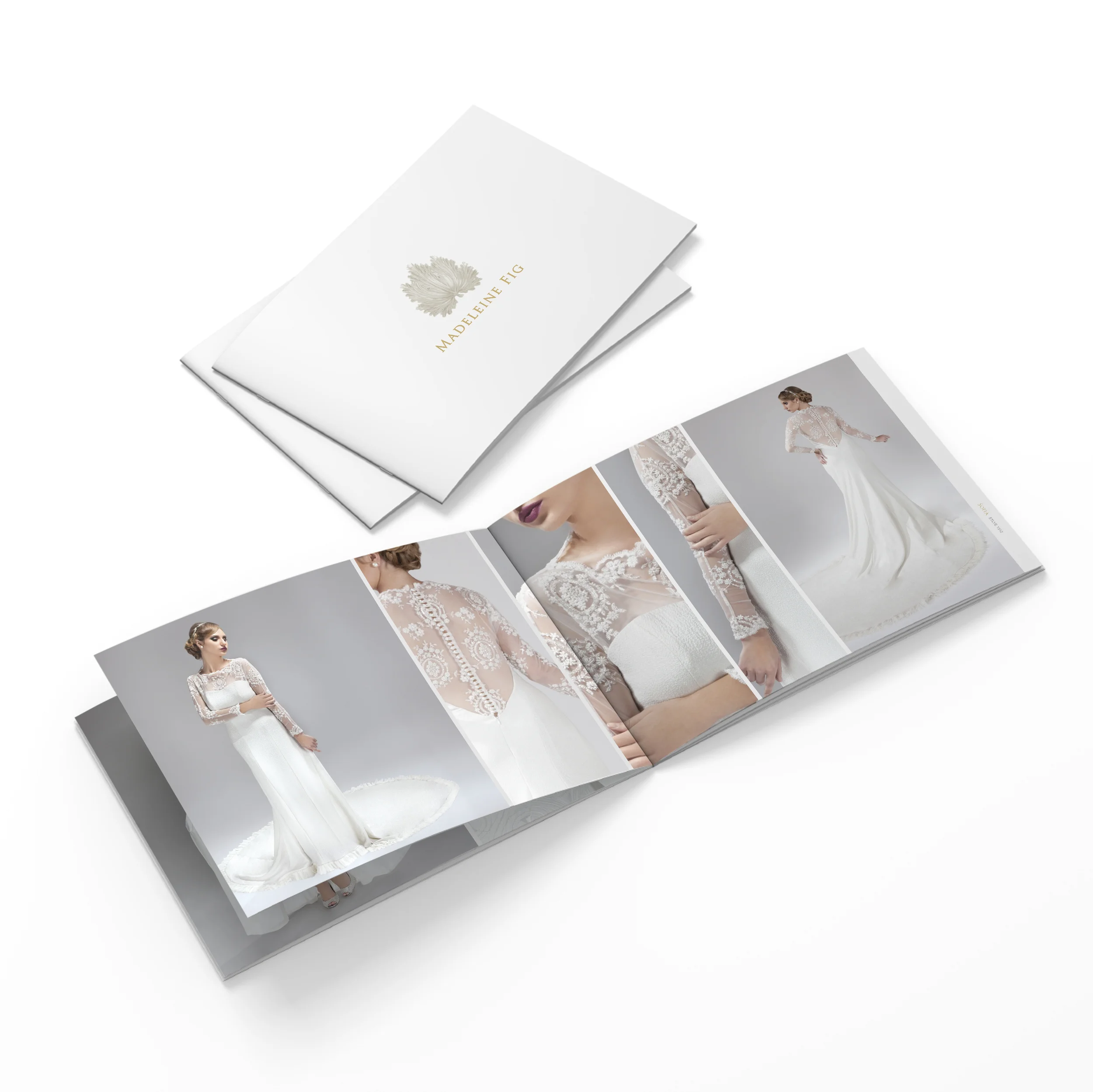 MFIG Cover-Spread.jpg