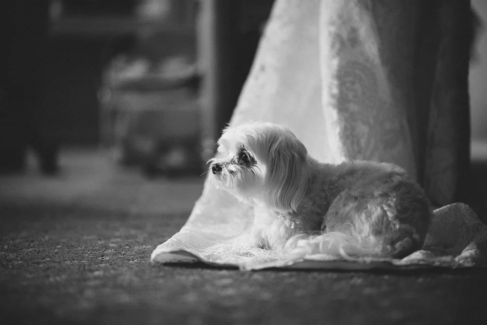 Santa-Rosa-Winery-Wedding-Photography-004.jpg