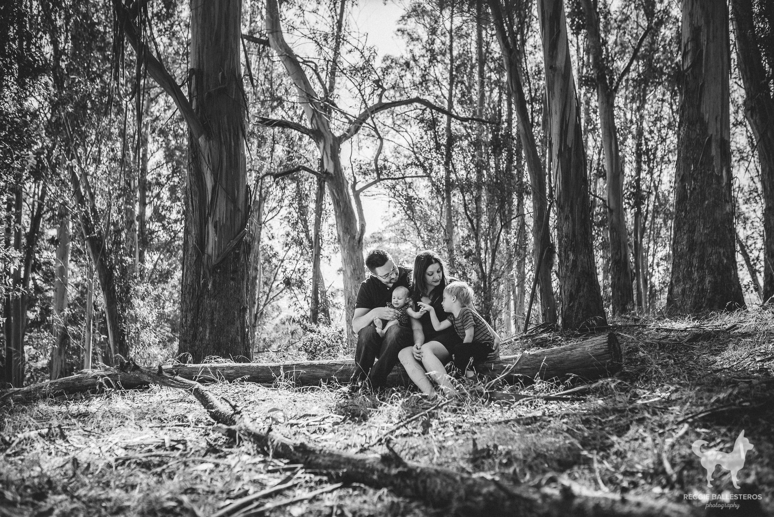 Junipero-Serra-Park-San-Bruno-Family-Photography-027.jpg