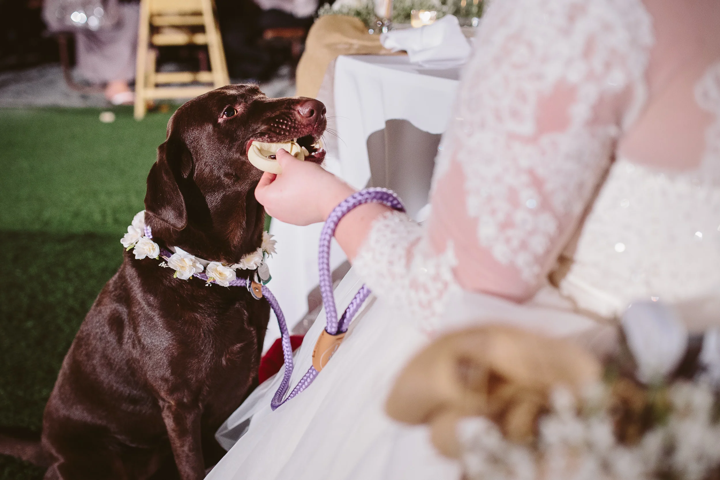 Saratoga-Springs-Wedding-Photography-036.jpg
