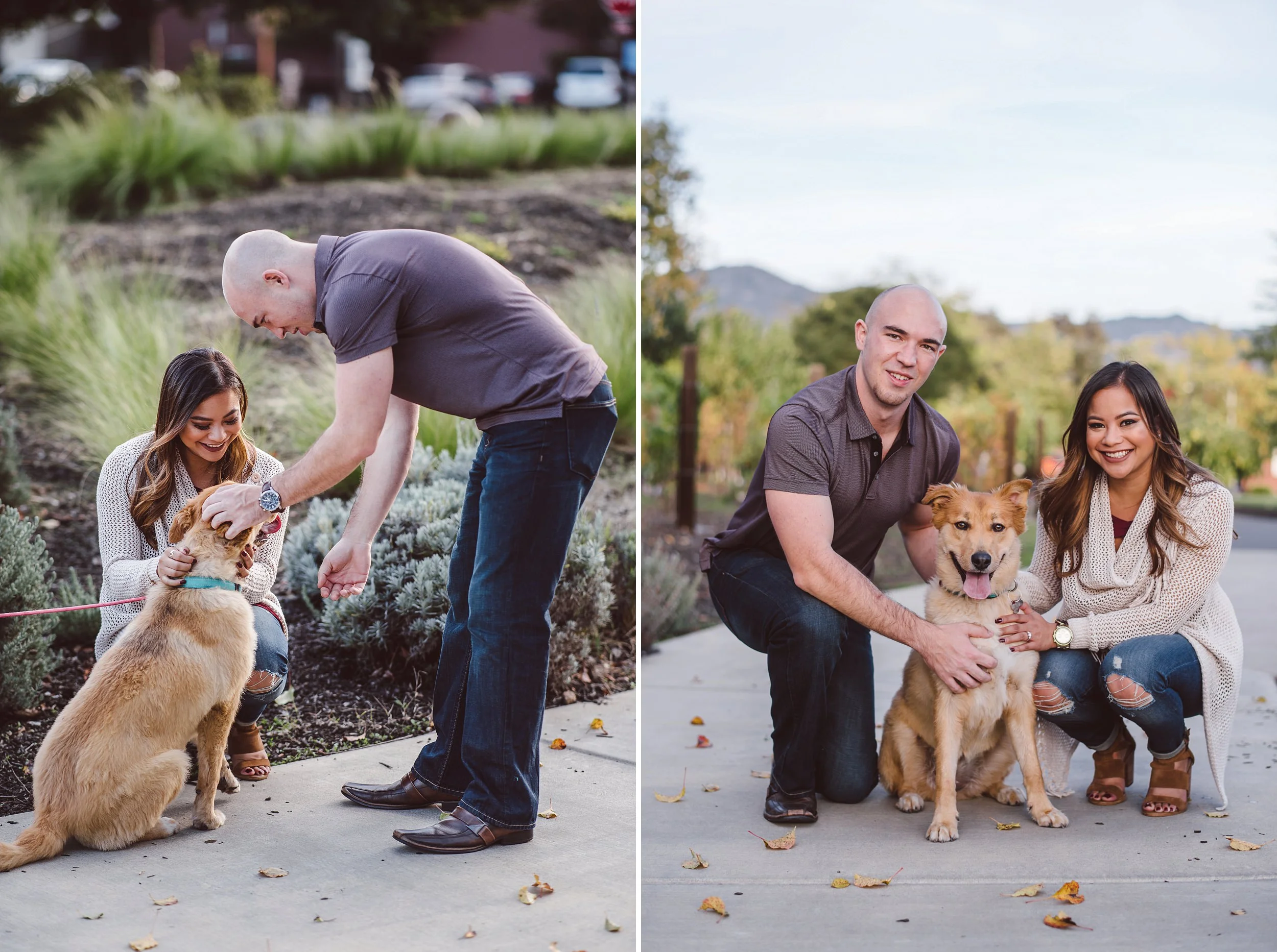 Yountville-Dog-Engagement-Photography-009.jpg