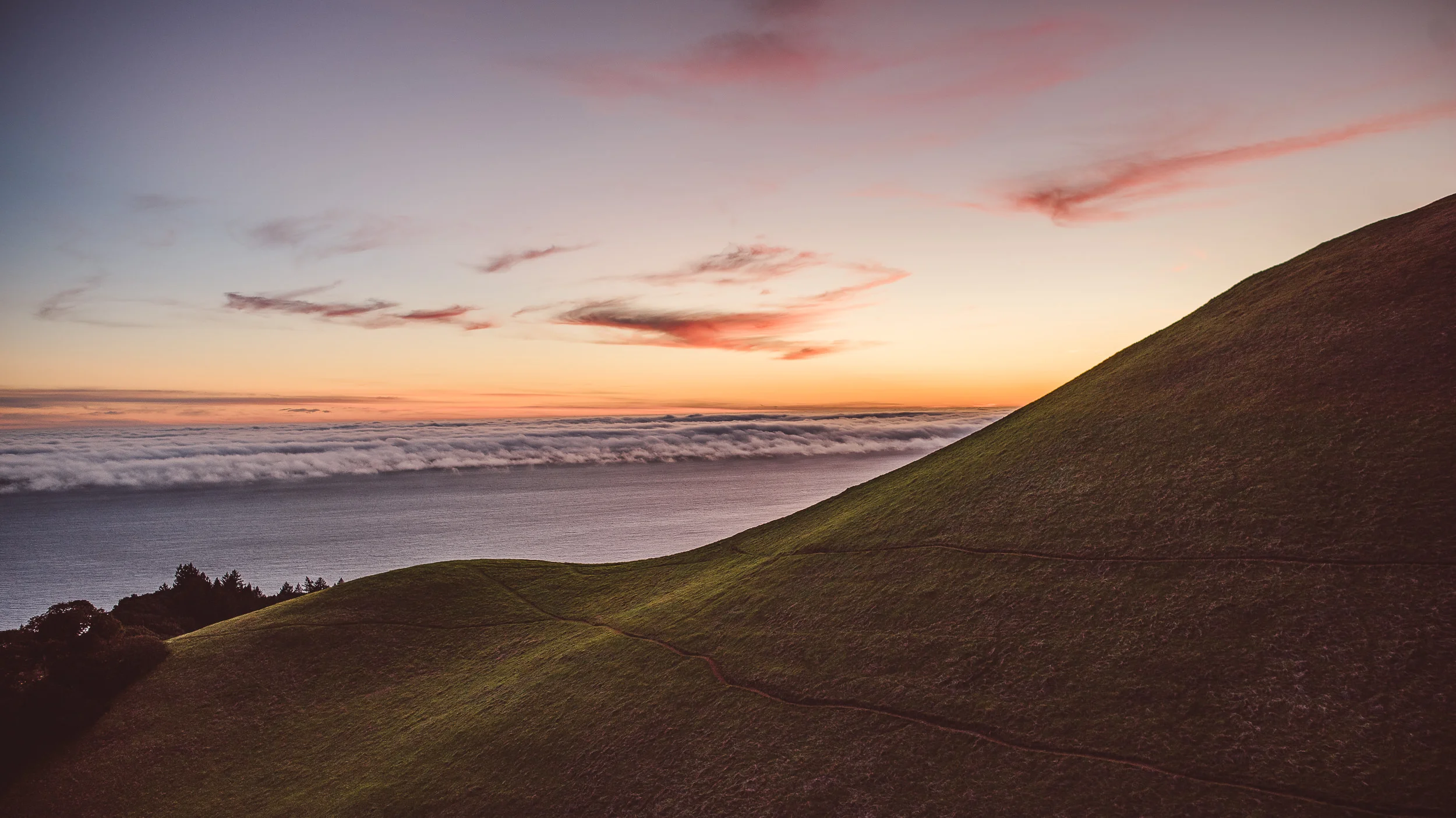 Mount-Tamalpais-Engagement-Photography-018.jpg