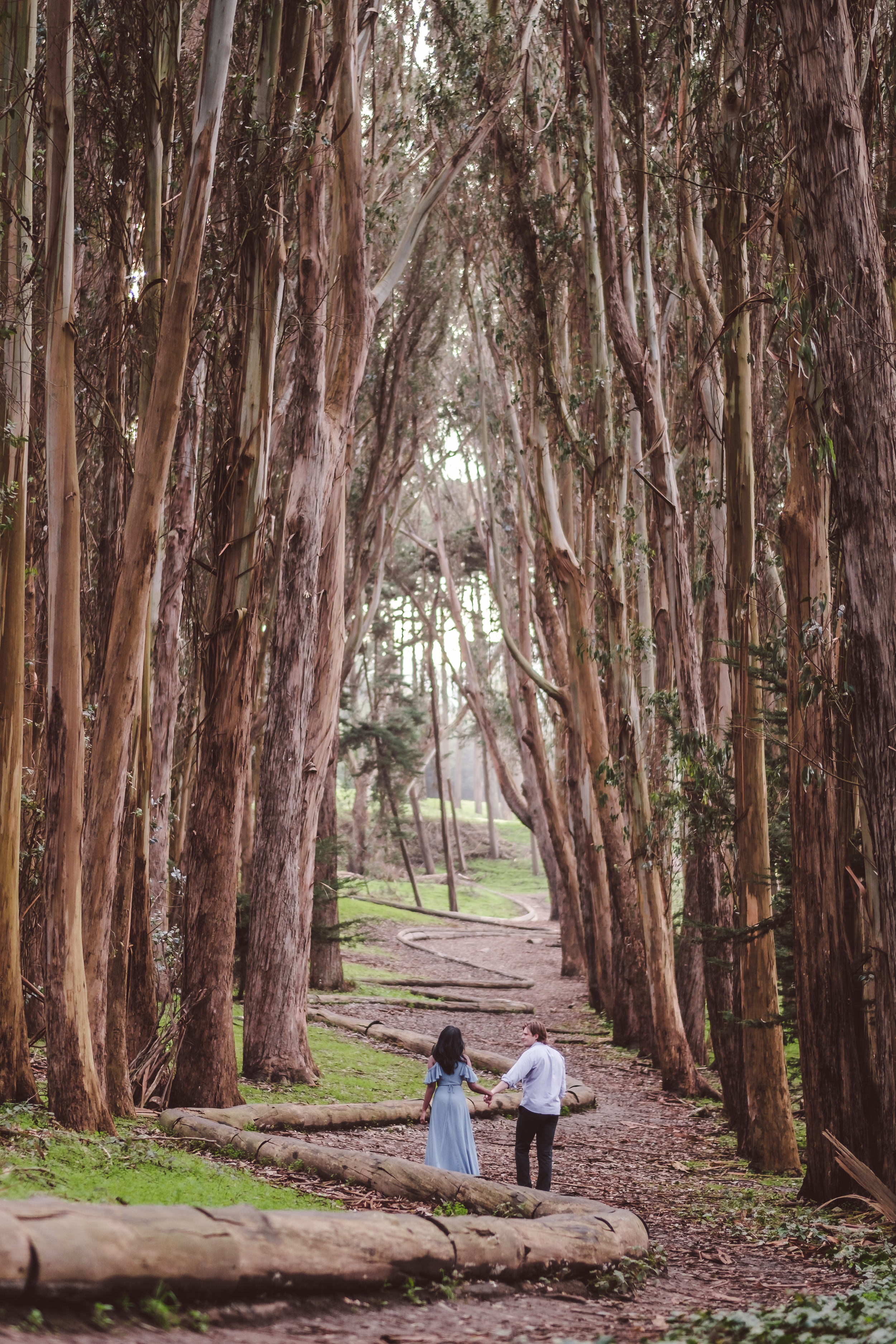 Palace-of-Fine-Arts-Lovers-Lane-San-Francisco-Engagement-Photography-013.jpg