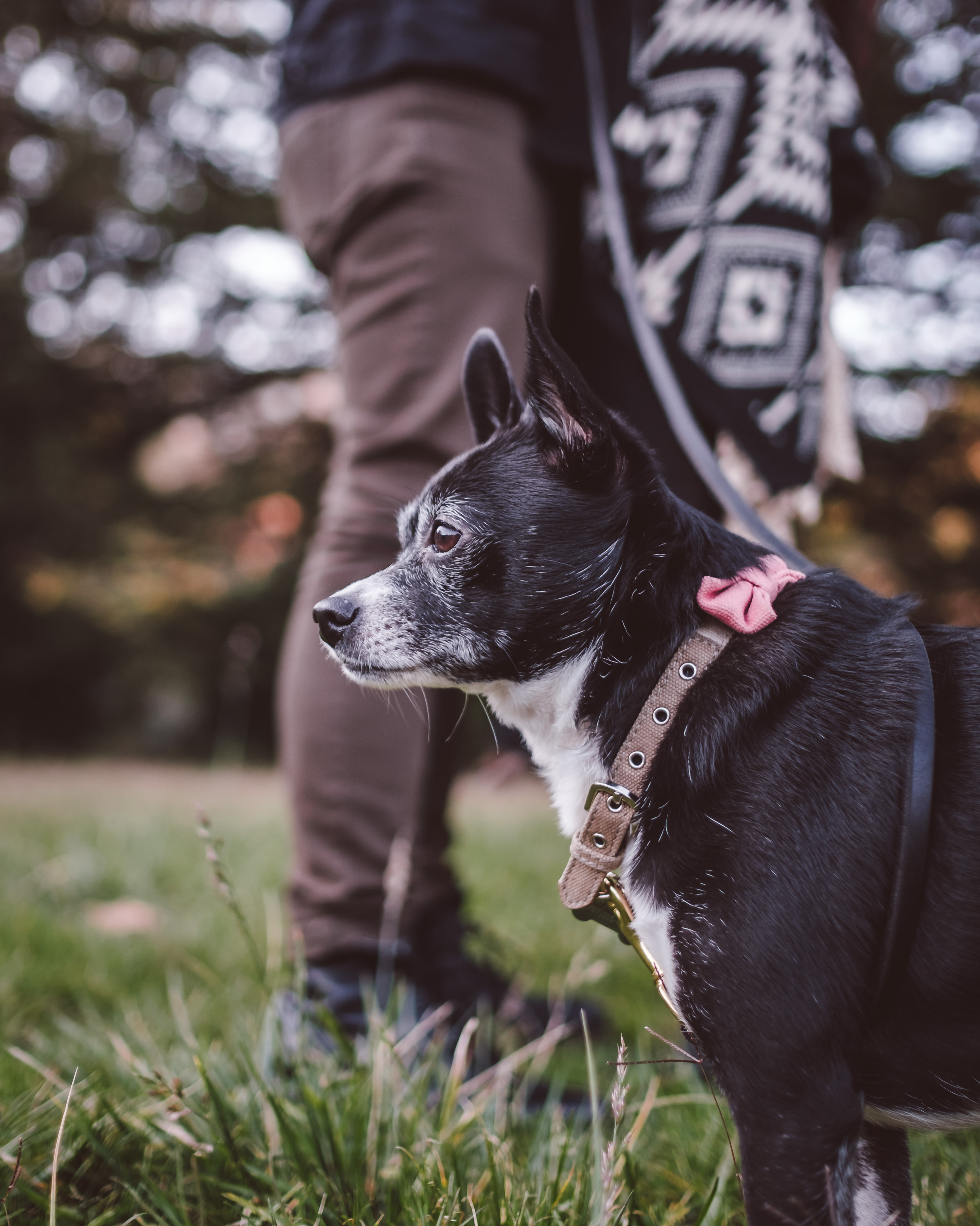 Tilden-Regional-Park-Tattoed-Couple-Engagement-Photography-004.jpg