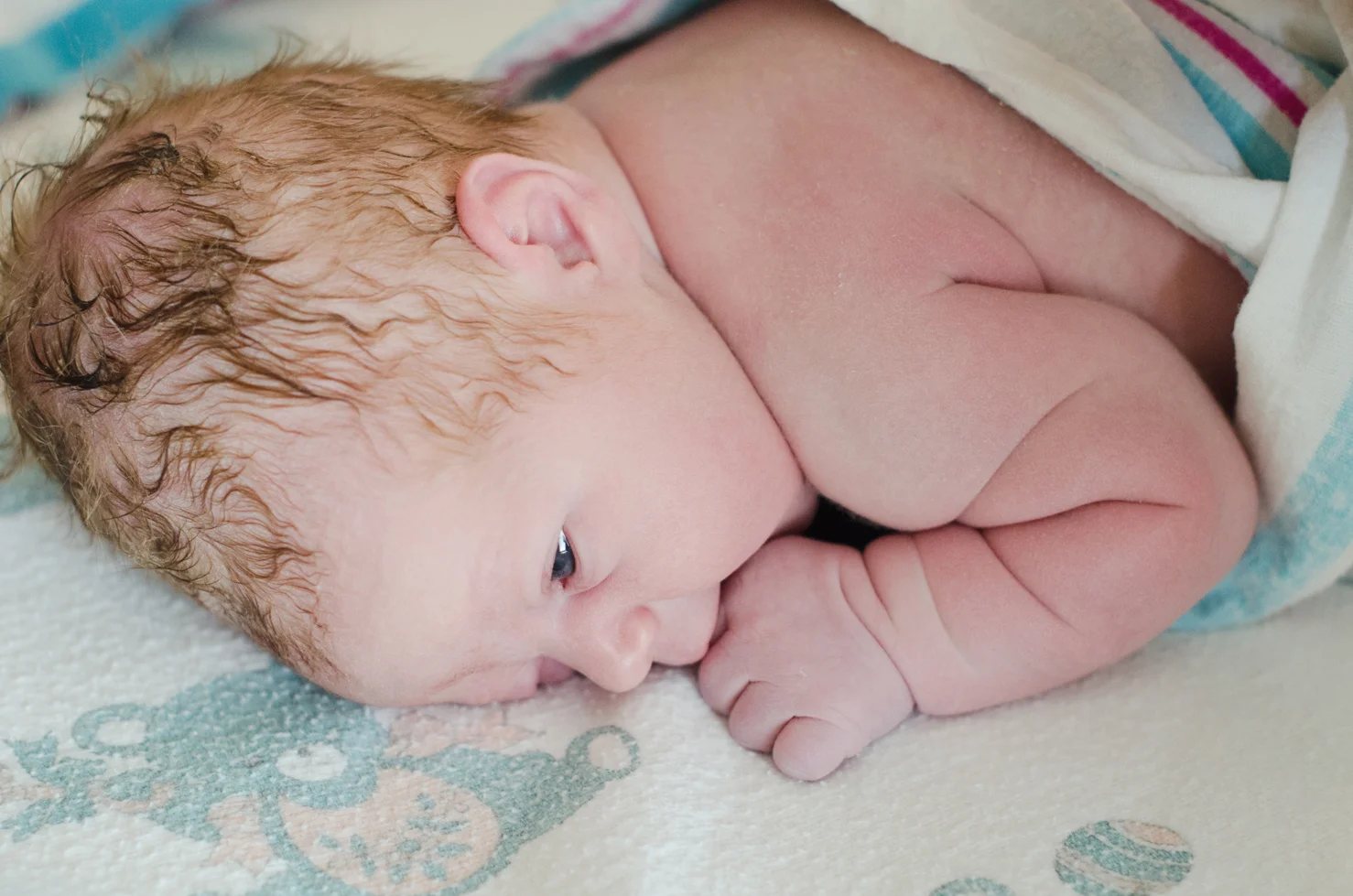 birth20120712_0115.jpg