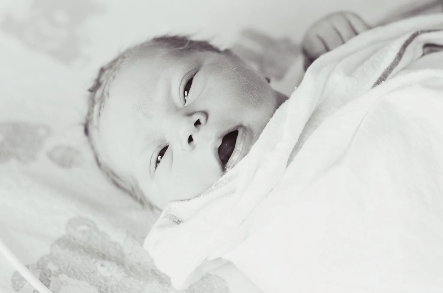 birth20120712_0111.jpg