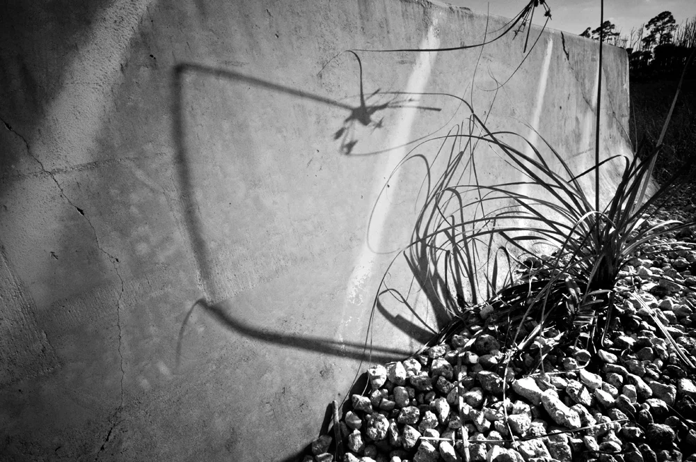 DSC_0180 copy 2.jpg